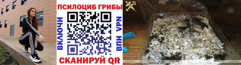 Галлюциногенные грибы мицелий Байкальск